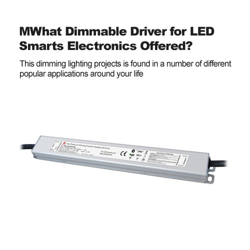 What Dimmable Driver for LED Smarts Electronics Offered?