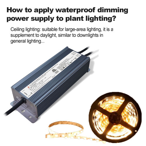 How to apply waterproof dimming power supply to plant lighting 