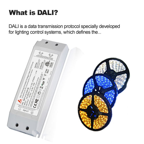 What is DALI?